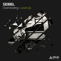 Level Up (Druid Rec) by Seibel
