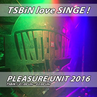 TSBiN @ Pleasure Unit XVII / Kesselhaus Singwitz by TSBiN aka TeeSeN & SchuBi