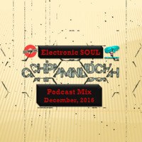 CHIP MANDICH [CRO] - Electronic SOUL - Podcast Mix  (December, 2016) by Electronic SOUL