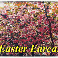 Easter Earcandy by CyBear