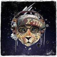 Mi-X-tape (Vol. 1/2021) - DJane X-tin by DJANE X-TIN