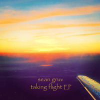 Taking Flight Original by Sean Gruv