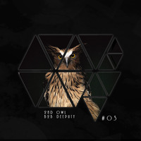 2nd Owl b2b Deeputy #03 by Owlmode