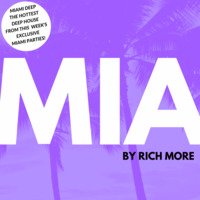 Miami Deep 76 by RICH MORE