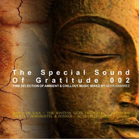Geer Ramirez - The Special Sound Of Gratitude 002 by GeerRamirez