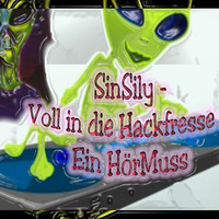 SinSily -  Voll in die Hackfresse    - ein HÖR-MUSS  (Garantiert Geil) by SINSILY