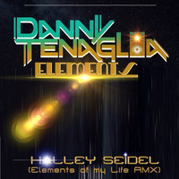 Danny Tenaglia - Elements - Halley Seidel (Elements Of My Life RMX) by Halley Seidel - BR/RJ