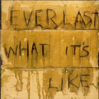 Everlast - What It´s Like (Dealirium Remix)(Free Download) by Dealirium