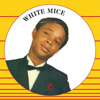 White Mice - Step By Step by REHEARSAL420