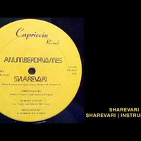 A Number Of Names -- Sharevari 12'' by REHEARSAL420
