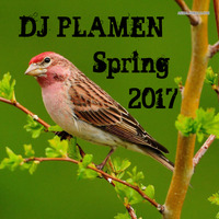 DJ PLAMEN - Spring commercial house mix 2017 by DJ PLAMEN