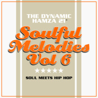 Soulful Melodies Volume 6 by Hamza 21