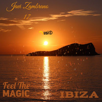 〽️usi©  Feel the Magic by Javi Zambrano