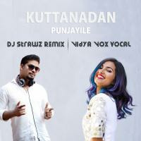 Kuttanadan Punjayile DJ Strawz Remix | Vidya Vox Vocal by DJ Strawz