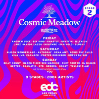 Alison Wonderland - Live @ cosmicMEADOW EDC Las Vegas (USA) 2017.06.17. by music