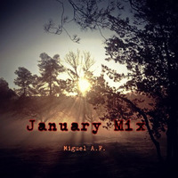 January Mix by MiguelAF