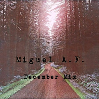 December Mix by MiguelAF