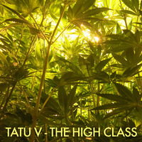 Tatu V - The High Class by Tatu V