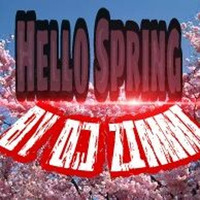 HeLLo SpRinG 2017 mixed by DJ ZIMMI by EnricoZimmer