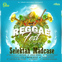 Reggae Fest Riddim Mix March 2017 (DJ Frass Records) by Selektah Madcase