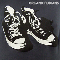 Nubian Soul - Organic Nubians Radio Show - Boogie Dancing by Sonic Stream Archives