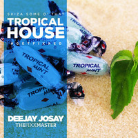 TheFeelGood Fixx_Tropical Fixxation by Deejay Josay [TheFixxMaster]