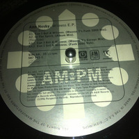 Ann Nesby - Witness Mouss T Funk 2000 Mix AM PM Records by FROM THE ROOTS OF HOUSE MUSIC