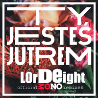 De Mono - Ty jestes jutrem (LOrd & Eight Future Pop Rmx)   by LOrd ♕