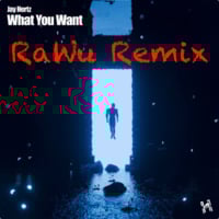 Jay Hertz - What You Want (RaWu Remix) by RaWu
