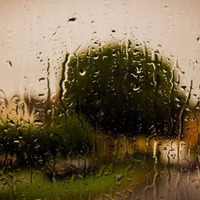 Rain On The Window by Martin Fletcher