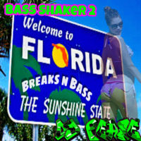 Bass Shaker 2  ( Welcome to Florida ) - Breaks n Bass mix by Dj Pease