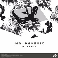 Mr. Phoenix - Buffalo EP [Melodic Techno] (Out Now)
