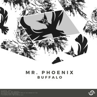 Mr. Phoenix - Buffalo [Melodic Techno | Neo Trance] by ALTOSPIN