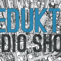 RedukTiv Radio Show - The Badgers - High Heels on Ice by The badgers