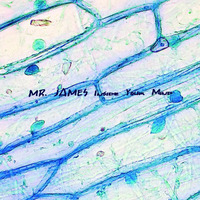Mr. James - Inside your mind by Mr. James
