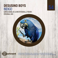 Desusino Boys - Indigo (CarolinaBlue & MisterSmallz remix) by CarolinaBlue & MisterSmallz