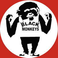 Fat Boy Slim – Right Here Right Now ( Black Monkeys Remix ) by SVD SOUND