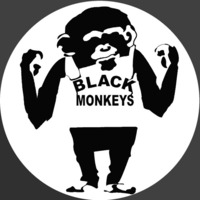Festival monkeys by SVD SOUND