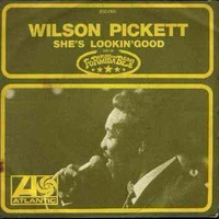 ✧ﾟ ･:* Remix (She's Looking Good ~ Wilson Pickett)*: ･ﾟ✧ by D-Clik FM