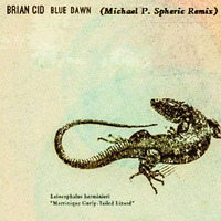 Brian Cid - Blue Dawn (Michael Peschke Remix) by Michael Peschke