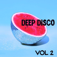 DEEP DISCO HOUSE ( 2 ) by ALSTERUFER DJ SOUNDS