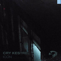 Cry Kestrel - Icon (Radio Mix) by Cry Kestrel