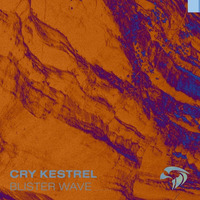 Cry Kestrel - Blister Wave by Cry Kestrel