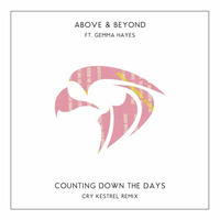 Above &amp; Beyond - Counting Down The Days ft. Gemma Hayes (Cry Kestrel Remix) by Cry Kestrel