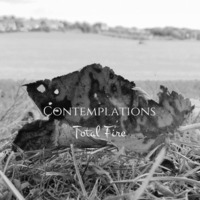 Contemplations/Total Fire (feat. James Teesdale) by Joshua Insole
