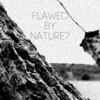 Flawed by Nature? by Joshua Insole