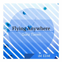 Gonz Torres - Flying Anywhere (Original Mix) by Gonz Torres