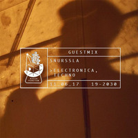 Guestmix 06/17: Ssnurssla by Radio Punctum