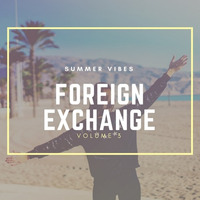 Foreign Exchange vol 3 by johnny dops