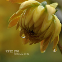 Autumn Rain (Ambient / Score / Piano / Instrumental) by scarless arms